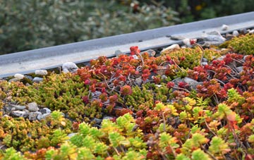 the cost of Filby Heath green roof installation