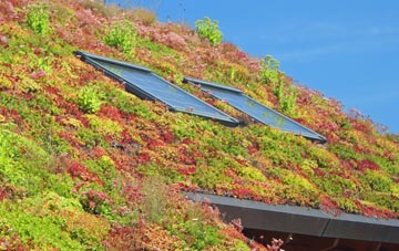 Filby Heath living roof systems