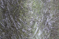 Filby Heath fibreglass roof work